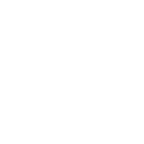 Logo Delta White 500x500