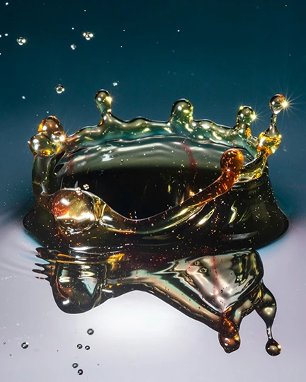 Solar Industri HSD PT Delta Energi